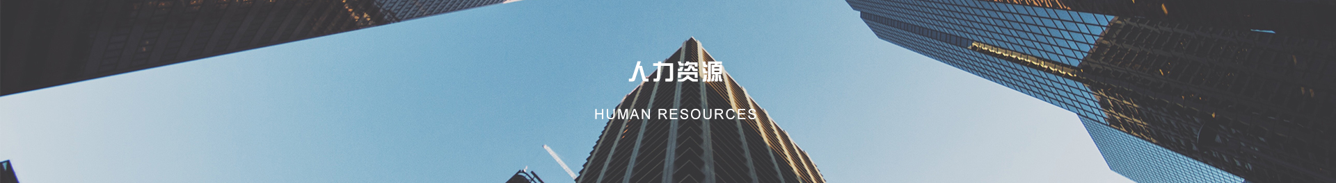 人力资源